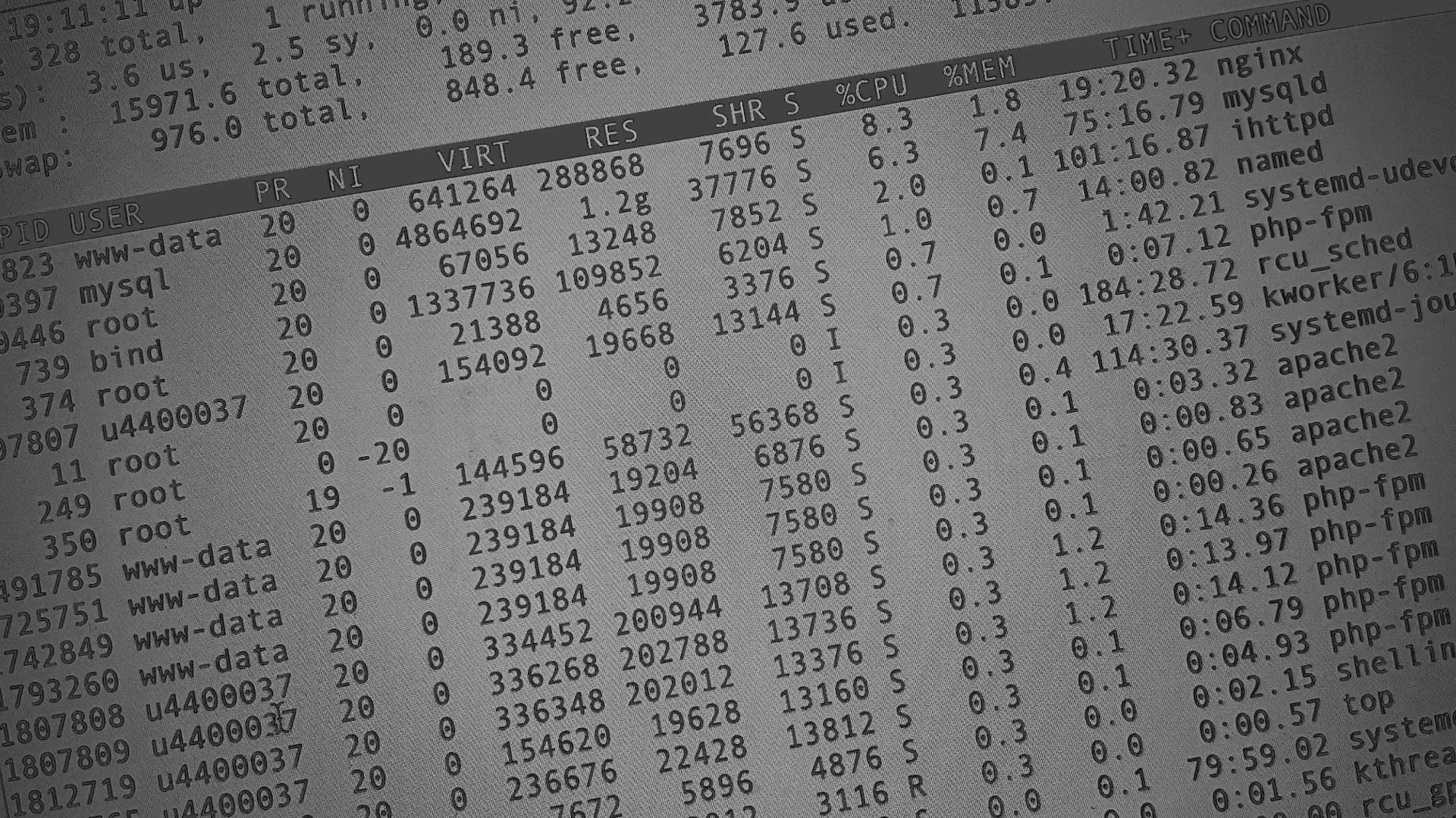 Настройка сервера в Суздале