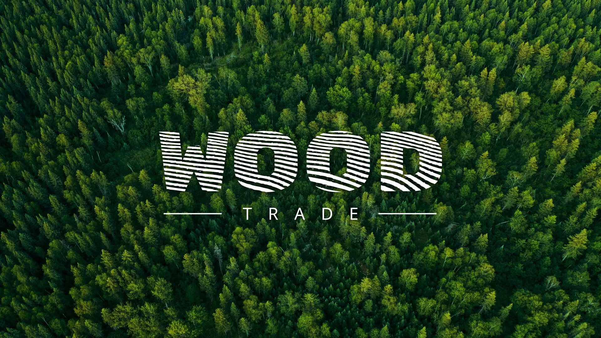 Разработка интернет-магазина компании «Wood Trade» в Суздале